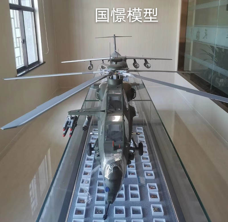 连云港飞机模型